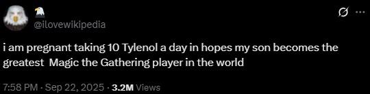 A tweet reading, "i am pregnant taking 10 Tylenol a day in hopes my son becomes the greatest  Magic the Gathering player in the world."