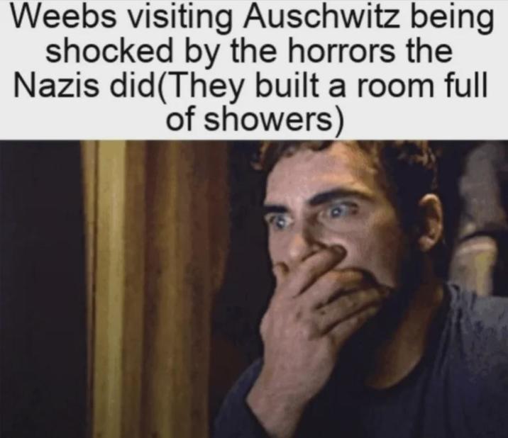 Weebs visiting Auschwitz being shocked by the horrors the Nazis did(They built a room full of showers)