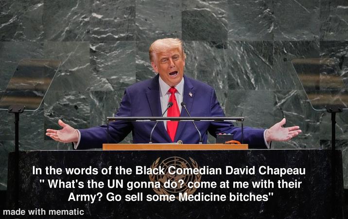 In the words of the Black Comedian David Chapeau "What's the UN gonna do? come at me with their Army? Go sell some Medicine bitches" made with mematic