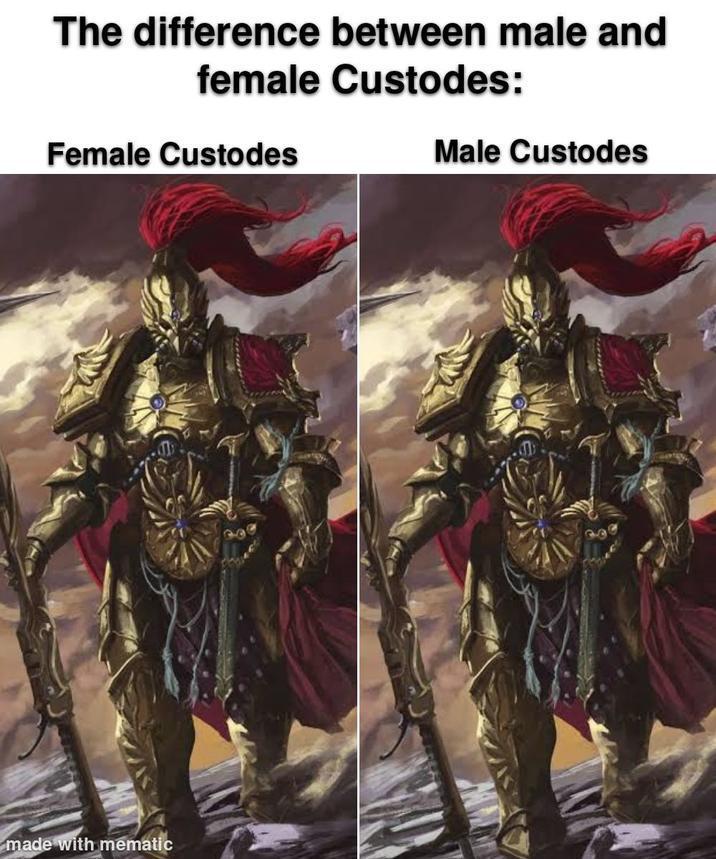 The difference between male and female Custodes: Female Custodes MW made with mematic Male Custodes