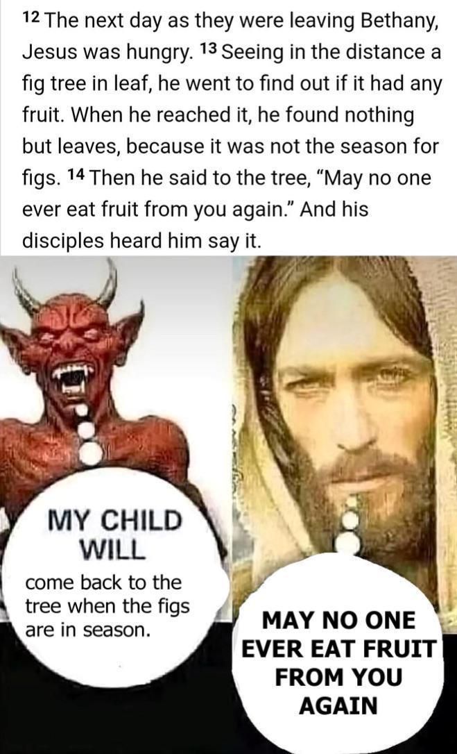 12 The next day as they were leaving Bethany, Jesus was hungry. 13 Seeing in the distance a fig tree in leaf, he went to find out if it had any fruit. When he reached it, he found nothing but leaves, because it was not the season for figs. 14 Then he said to the tree, "May no one ever eat fruit from you again." And his disciples heard him say it. MY CHILD WILL come back to the tree when the figs are in season. MAY NO ONE EVER EAT FRUIT FROM YOU AGAIN
