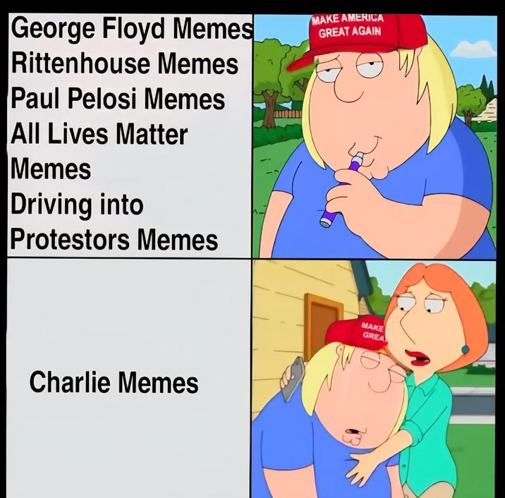 George Floyd Memes Rittenhouse Memes Paul Pelosi Memes All Lives Matter Memes Driving into Protestors Memes MAKE AMERICA GREAT AGAIN W Charlie Memes MAKE GREA