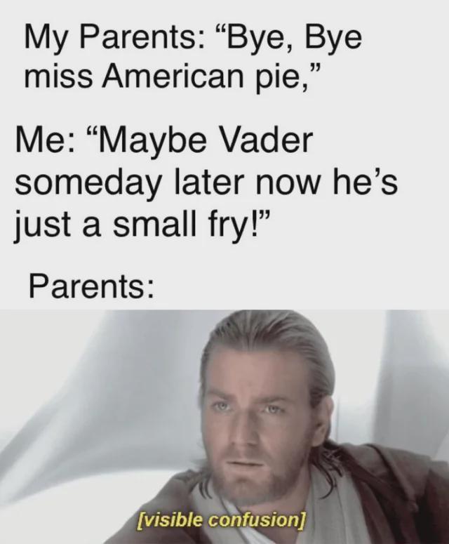 My Parents: "Bye, Bye miss American pie," Me: "Maybe Vader someday later now he's just a small fry!" Parents: [visible confusion]