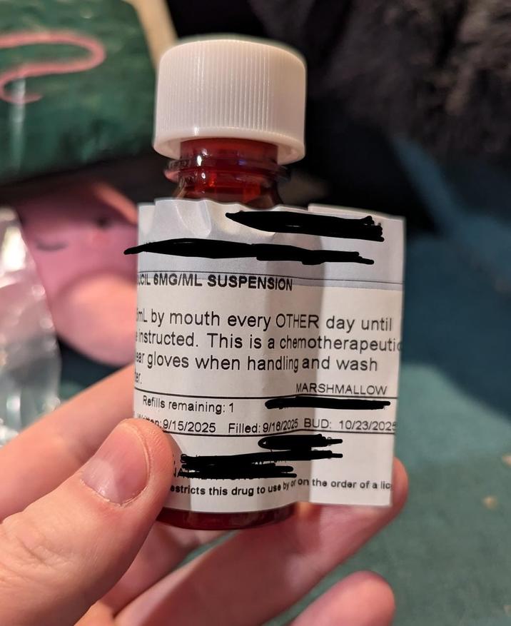 CIL 6MG/ML SUSPENSION L by mouth every OTHER day until instructed. This is a chemotherapeutic ar gloves when handling and wash Refills remaining: 1 MARSHMALLOW 9/15/2025 Filled: 9/16/2025 BUD: 10/23/202 estricts this drug to use by or on the order of a lic