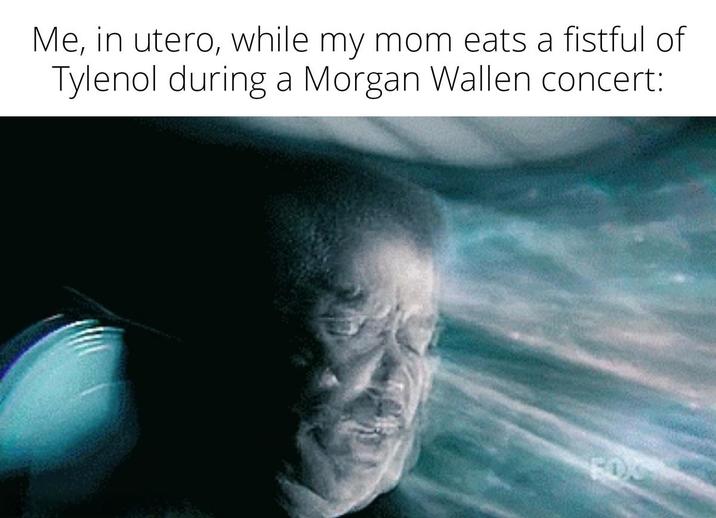 Me, in utero, while my mom eats a fistful of Tylenol during a Morgan Wallen concert: