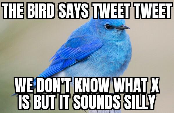 THE BIRD SAYS TWEET TWEET WE DON'T KNOW WHAT X IS BUT IT SOUNDS SILLY