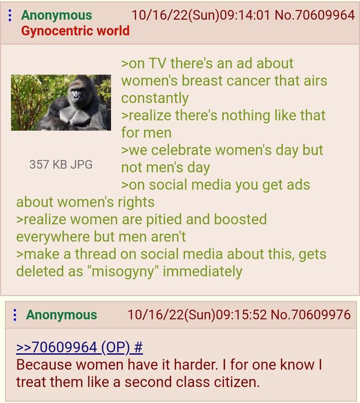 : Anonymous Gynocentric world 357 KB JPG 10/16/22(Sun)09:14:01 No.70609964 >on TV there's an ad about women's breast cancer that airs constantly >realize there's nothing like that for men >we celebrate women's day but not men's day >on social media you get ads about women's rights >realize women are pitied and boosted everywhere but men aren't >make a thread on social media about this, gets deleted as "misogyny" immediately : Anonymous 10/16/22(Sun)09:15:52 No. 70609976 >>70609964 (OP) # Because women have it harder. I for one know I treat them like a second class citizen.