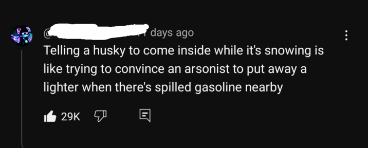 days ago Telling a husky to come inside while it's snowing is like trying to convince an arsonist to put away a lighter when there's spilled gasoline nearby 29K
