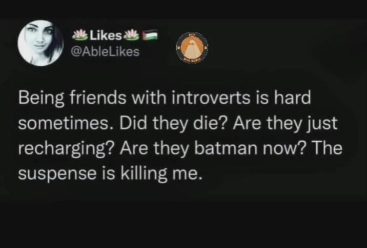 Likes @AbleLikes Being friends with introverts is hard sometimes. Did they die? Are they just recharging? Are they batman now? The suspense is killing me.