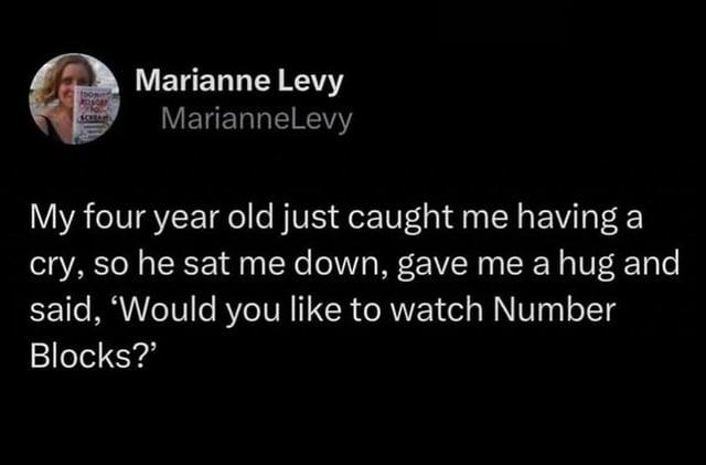 DON Marianne Levy MarianneLevy My four year old just caught me having a cry, so he sat me down, gave me a hug and said, 'Would you like to watch Number Blocks?'
