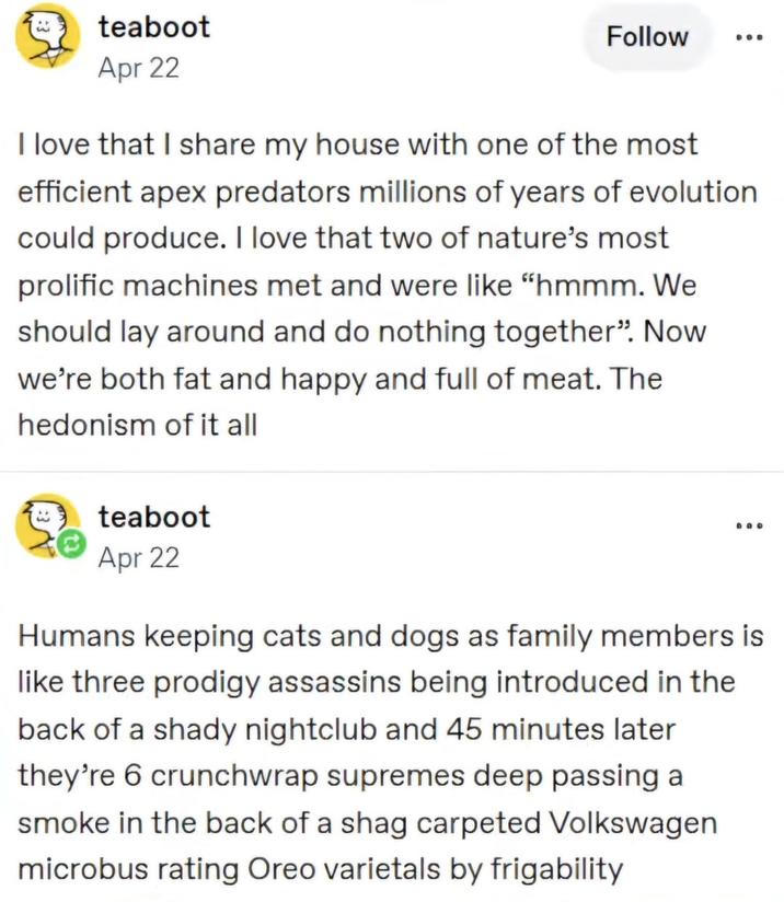 w teaboot Apr 22 Follow DOO I love that I share my house with one of the most efficient apex predators millions of years of evolution could produce. I love that two of nature's most prolific machines met and were like "hmmm. We should lay around and do nothing together". Now we're both fat and happy and full of meat. The hedonism of it all teaboot Apr 22 DOO Humans keeping cats and dogs as family members is like three prodigy assassins being introduced in the back of a shady nightclub and 45 minutes later they're 6 crunchwrap supremes deep passing a smoke in the back of a carpeted Volkswagen microbus rating Oreo varietals by frigability