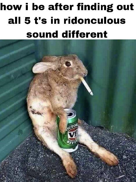 how i be after finding out all 5 t's in ridonculous sound different ACTOR V BITT