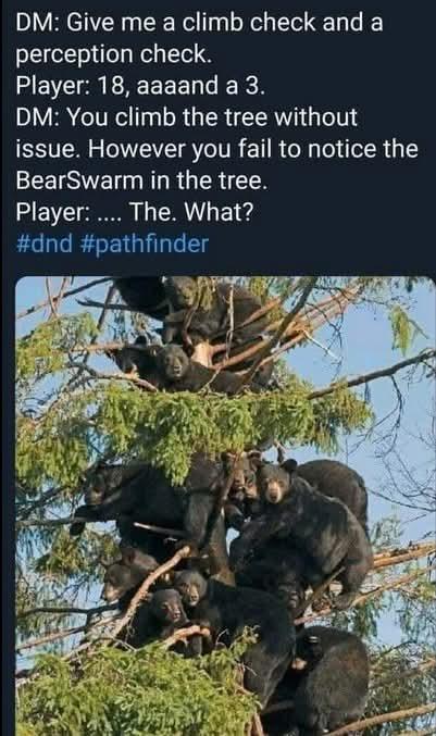 DM: Give me a climb check and a perception check. Player: 18, aaaand a 3. DM: You climb the tree without issue. However you fail to notice the BearSwarm in the tree. Player: The. What? #dnd #pathfinder