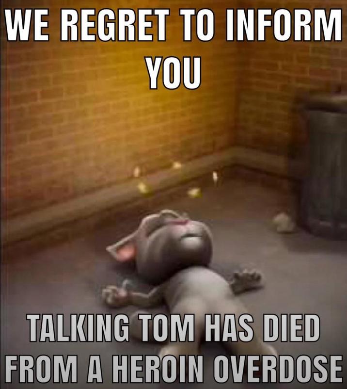 WE REGRET TO INFORM YOU TALKING TOM HAS DIED FROM A HEROIN OVERDOSE