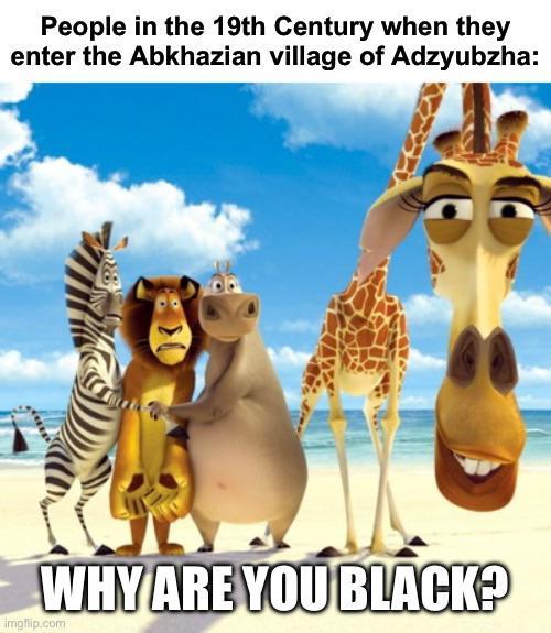 People in the 19th Century when they enter the Abkhazian village of Adzyubzha: WHY ARE YOU BLACK? imgflip.com