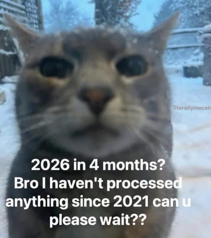 literallymecat 2026 in 4 months? Bro I haven't processed anything since 2021 can u please wait??