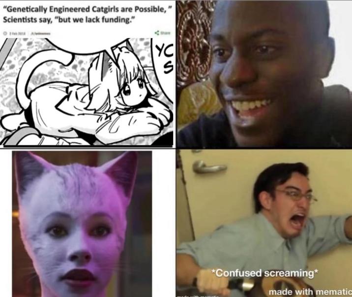 "Genetically Engineered Catgirls are Possible," Scientists say, "but we lack funding." YC S *Confused screaming* made with mematic