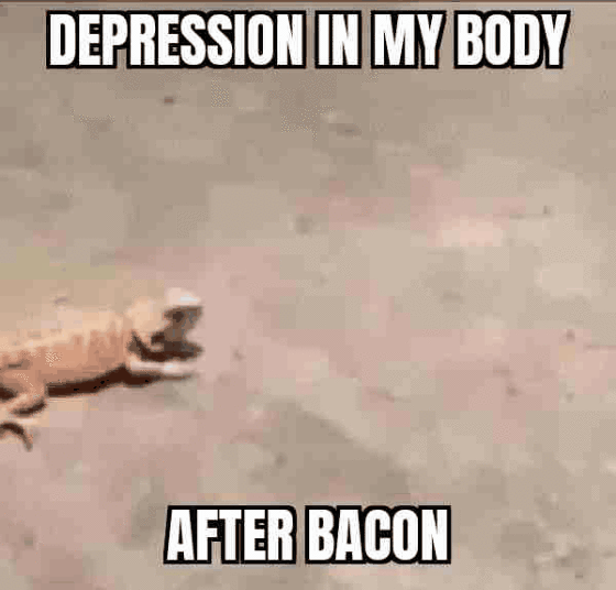 DEPRESSION IN MY BODY AFTER BACON