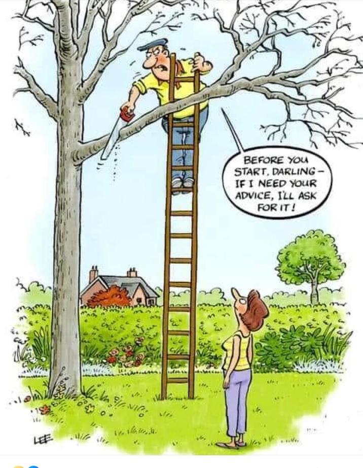 m LEE Mater BEFORE YOU START, DARLING- IF I NEED YOUR ADVICE, I'LL ASK FOR IT!