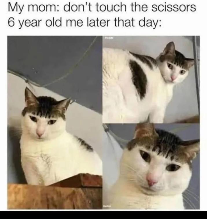 My mom: don't touch the scissors 6 year old me later that day: Hedda