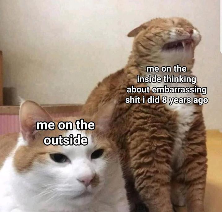 me on the outside me on the inside thinking about embarrassing s--- i did 8 years ago