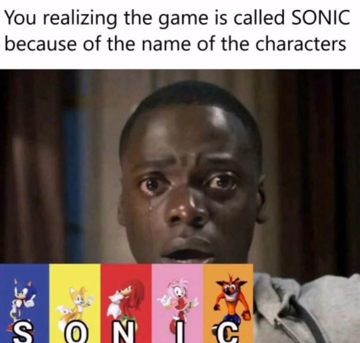 You realizing the game is called SONIC because of the name of the characters S ON C