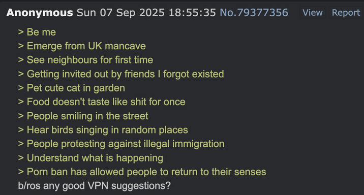 Anonymous Sun 07 Sep 2025 18:55:35 No.79377356 > Be me > Emerge from UK mancave > See neighbours for first time > Getting invited out by friends I forgot existed > Pet cute cat in garden > Food doesn't taste like s--- for once > People smiling in the street > Hear birds singing in random places > People protesting against illegal immigration > Understand what is happening > P--- ban has allowed people to return to their senses b/ros any good VPN suggestions? View Report