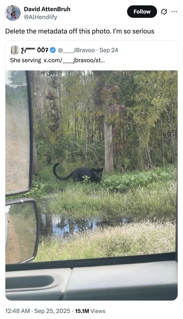 September 25th, 2025 tweet by @AlHendiify X user @AlHendiify quoted a photo of a black panther spotted in Mississippi, writing, "Delete the metadata off this photo. I'm so serious," and gathering over 15 million views and 140,000 likes in two days. The post was seemingly an attempt to deter poachers from finding the location of the panther; however, other internet users were quick to point out that X automatically strips the metadata from image uploads.