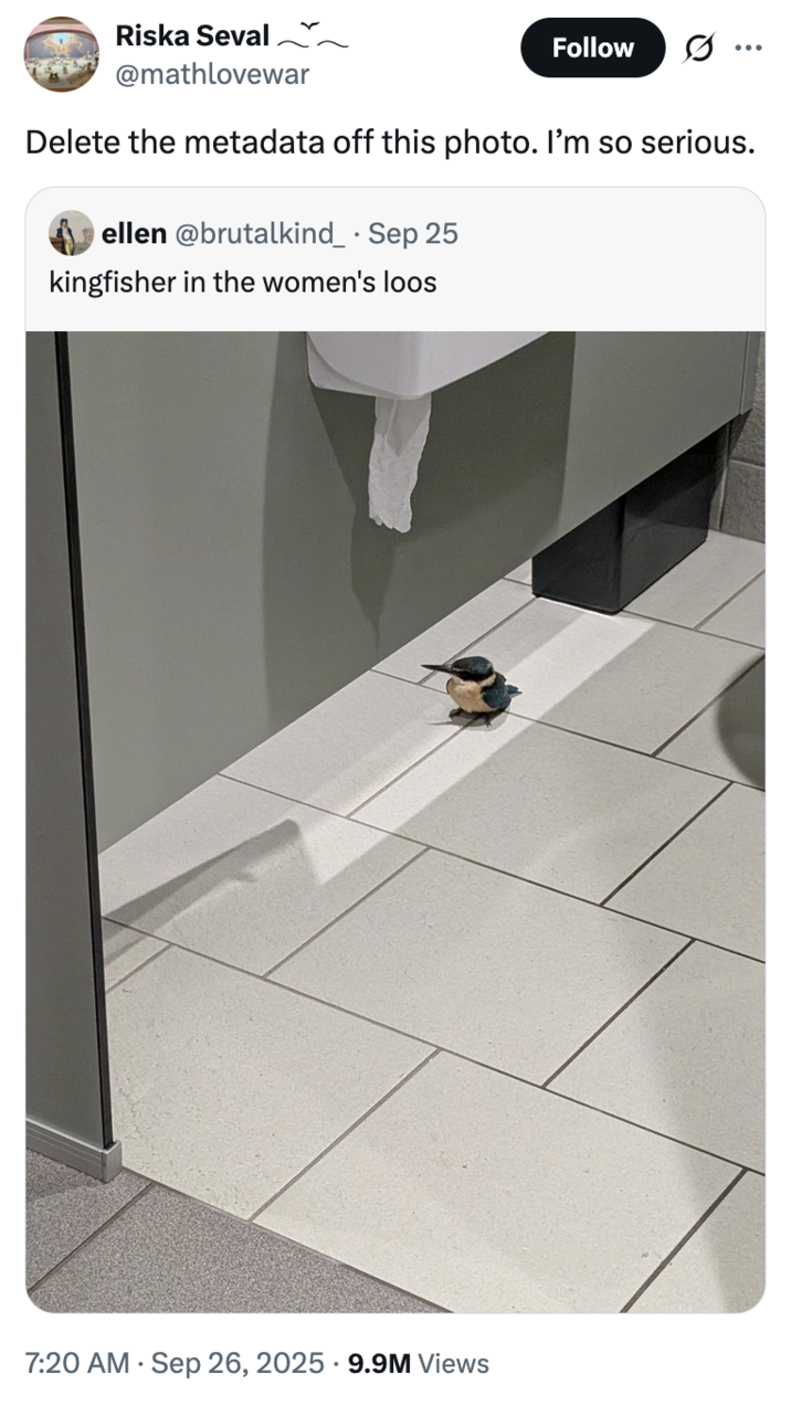 September 26th, 2025 tweet by @mathlovewar X user @mathlovewar became one of the first to parody @AlHendiify's post, writing, "Delete the metadata off this photo. I'm so serious" in response to an image of someone spotting a photo of a "kingfisher in the women's loos." The post gathered over 11 million views and 60,000 likes in a day.