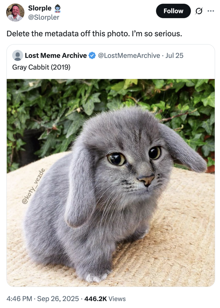 September 26th, 2025 tweet by @Slorpler X user @Slorpler tweeted the "Delete the metadata" copypasta in response to a photo of the "Gray Cabbit":https://knowyourmeme.com/memes/gray-cabbit meme.