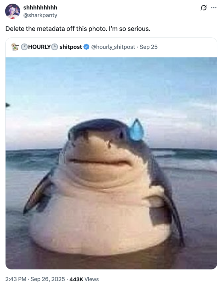 September 26th, 2025 tweet by @sharkpanty X user @sharkpanty tweeted the "Delete the metadata" copypasta in response to a meme featuring a shark, gathering over 18,000 likes in a day.