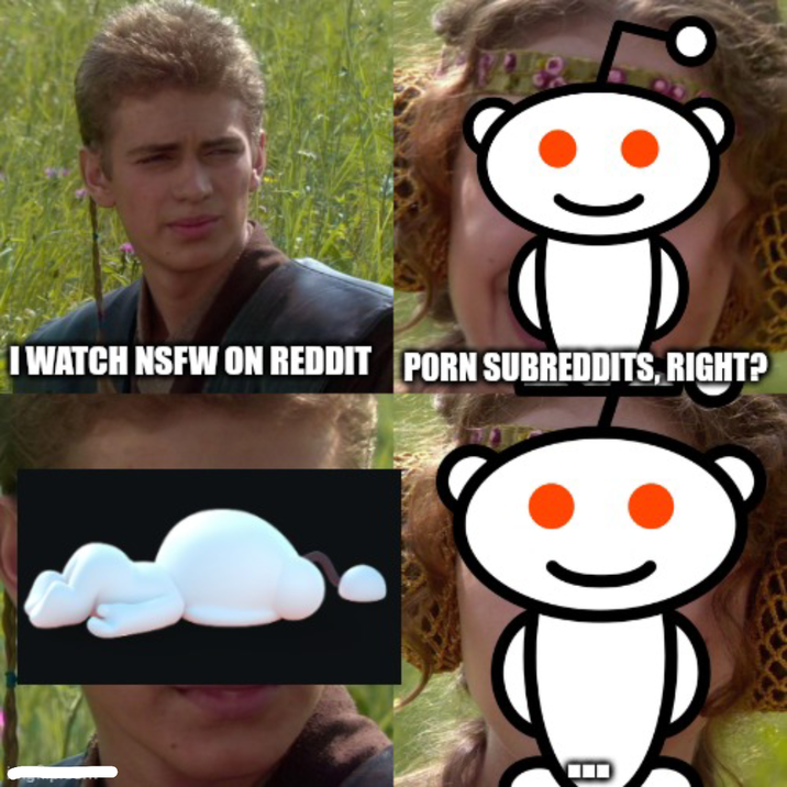 I WATCH NSFW ON REDDIT P--- SUBREDDITS, RIGHT?