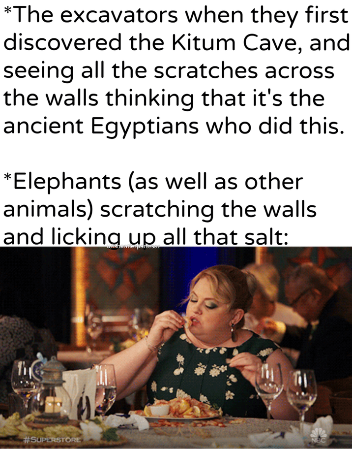 *The excavators when they first discovered the Kitum Cave, and seeing all the scratches across the walls thinking that it's the ancient Egyptians who did this. *Elephants (as well as other animals) scratching the walls and licking up all that salt: Khantlerpartesar The #SUPERSTORE NBC