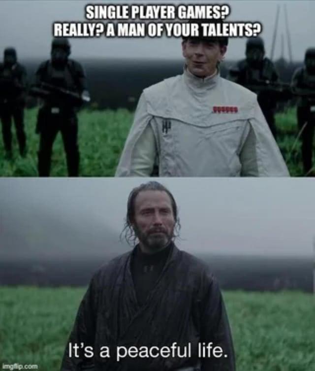 SINGLE PLAYER GAMES? REALLY? A MAN OF YOUR TALENTS? It's a peaceful life. imgflip.com
