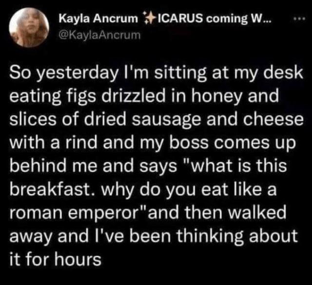 Kayla Ancrum ICARUS coming W... @KaylaAncrum So yesterday I'm sitting at my desk eating figs drizzled in honey and slices of dried sausage and cheese with a rind and my boss comes up behind me and says "what is this breakfast. why do you eat like a roman emperor" and then walked away and I've been thinking about it for hours