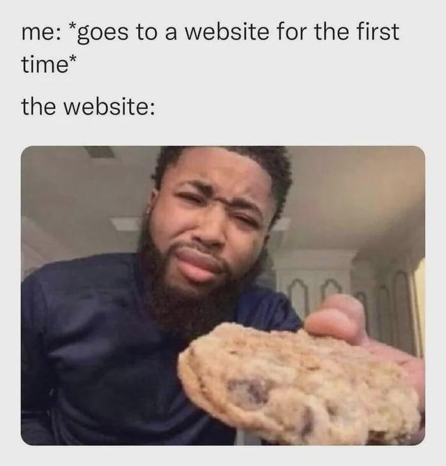 me: *goes to a website for the first time* the website: