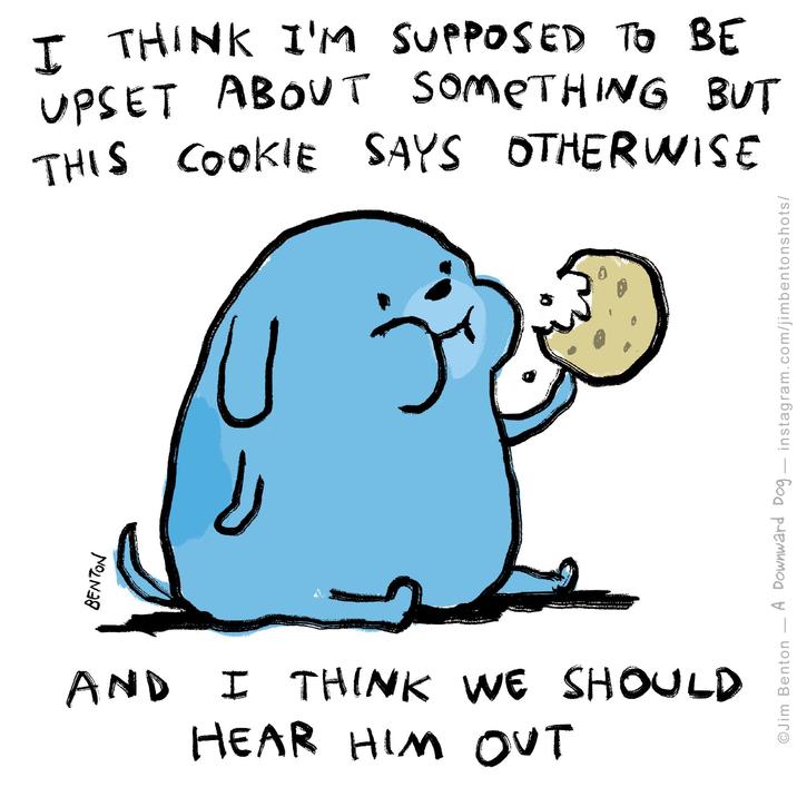BENTON I THINK I'M SUPPOSED TO BE UPSET ABOUT SOMETHING BUT THIS COOKIE SAYS OTHERWISE U AND I THINK WE SHOULD HEAR HIM OUT OJim Benton A Downward Dog — instagram.com/jimbentonshots/