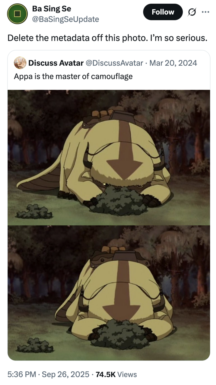September 26th, 2025 tweet by @BaSingSeUpdate X account @BaSingSeUpdate tweeted the "Delete the metadata" copypasta in response to a post about Appa from _Avatar: The Last Airbender_.