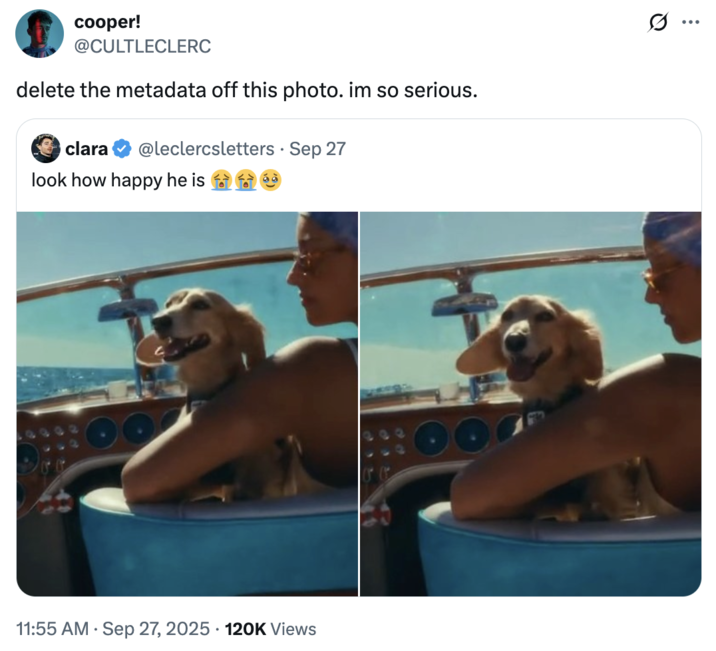 September 27th, 2025 tweet by @CULTLECLERC X user @CULTLECLERC tweeted the "Delete the metadata" copypasta in the quote tweets of a post by @leclercsletters.