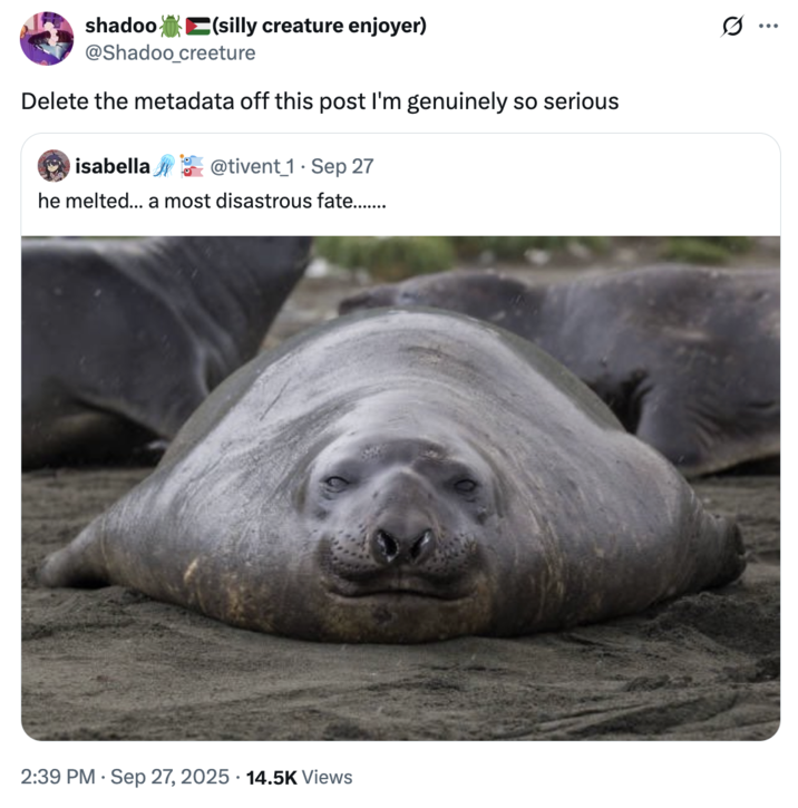 September 27th, 2025 tweet by @Shadoo_creeture X user @Shadoo_creeture quoted a photo of a seal with the "Delete the metadata" copypasta.