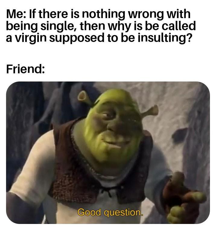 Me: If there is nothing wrong with being single, then why is be called a virgin supposed to be insulting? Friend: Good question.