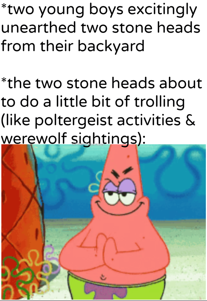 *two young boys excitingly unearthed two stone heads from their backyard *the two stone heads about to do a little bit of trolling (like poltergeist activities & werewolf sightings):