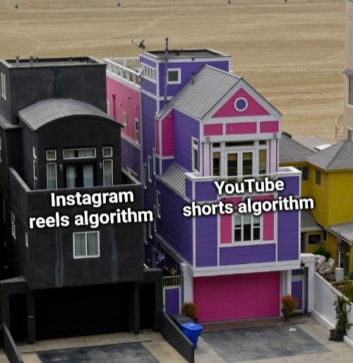 Instagram reels algorithm YouTube shorts algorithm