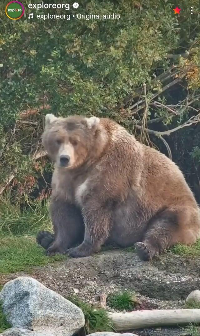 explore exploreorg exploreorg Original audio