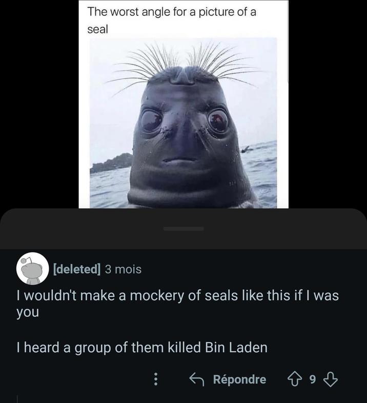 The worst angle for a picture of a seal [deleted] 3 mois I wouldn't make a mockery of seals like this if I was you I heard a group of them killed Bin Laden Répondre