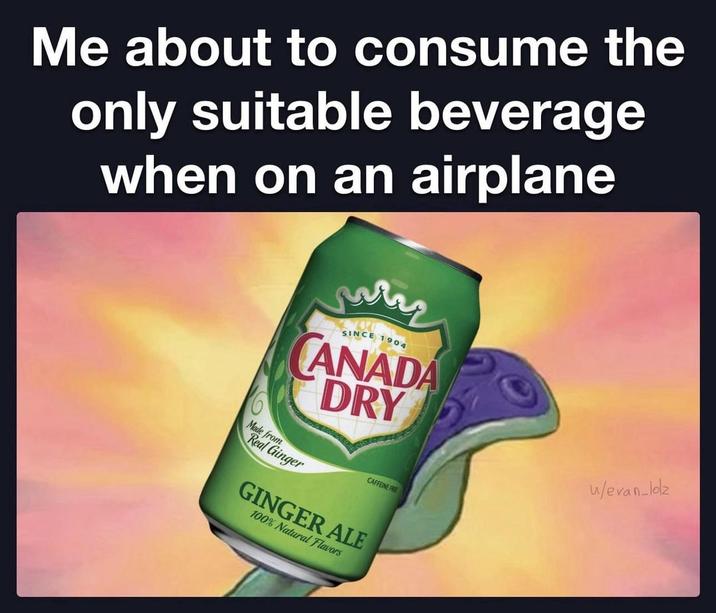 Me about to consume the only suitable beverage when on an airplane 6 www SINCE 1904 CANADA DRY u/evan_lolz Made from Real Ginger CAFFEINE FREE GINGER ALE 100% Natural Flavors