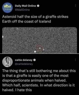 Hail Daily Mail Online Online @MailOnline Asteroid half the size of a giraffe strikes Earth off the coast of Iceland caitie delaney @caitiedelaney The thing that's still bothering me about this is that a giraffe is easily one of the most disproportionate animals when halved. Which half, scientists. In what direction is it halved. I hate this