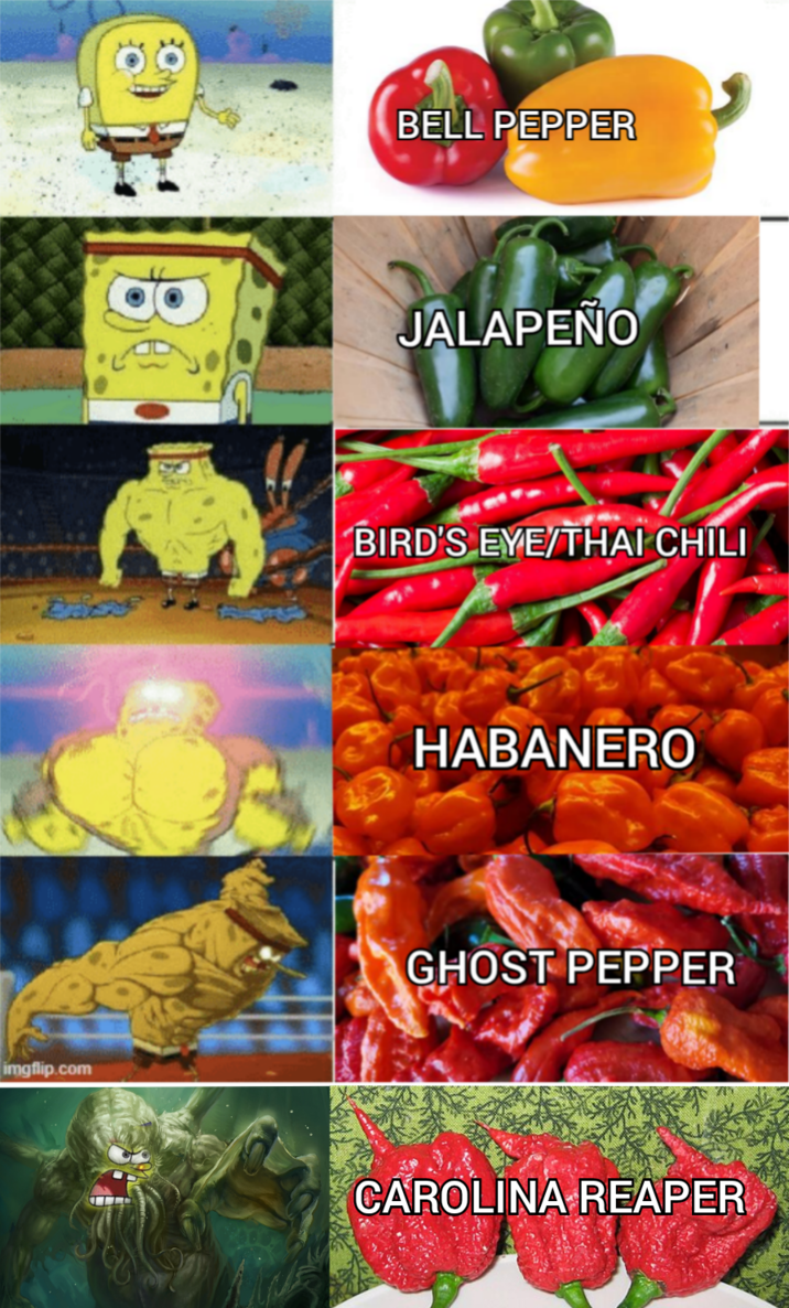 BC imgflip.com TID BELL PEPPER JALAPEÑO BIRD'S EYE/THAI CHILI HABANERO GHOST PEPPER CAROLINA REAPER