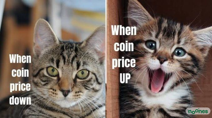 When coin price When coin UP price down noones