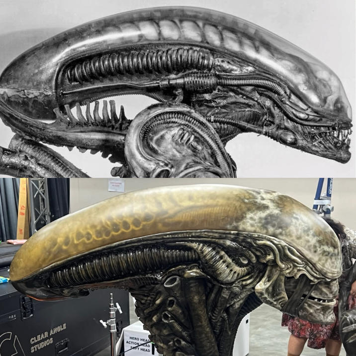 仙表 CLEAR ANGLE STUDIOS HERO HEAD EAD SOFT HEAD ACTION DESIGN